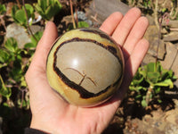 Polished Septaria (Calcite & Aragonite) Spheres  x 2 From Madagascar - Toprock Gemstones and Minerals