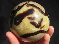 Polished Septaria (Calcite & Aragonite) Spheres  x 2 From Madagascar - Toprock Gemstones and Minerals