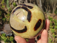 Polished Septaria (Calcite & Aragonite) Spheres  x 2 From Madagascar - Toprock Gemstones and Minerals