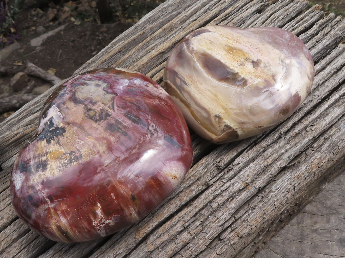 Polished Petrified Red Podocarpus Wood Hearts x 2 From Mahajanga, Madagascar - TopRock
