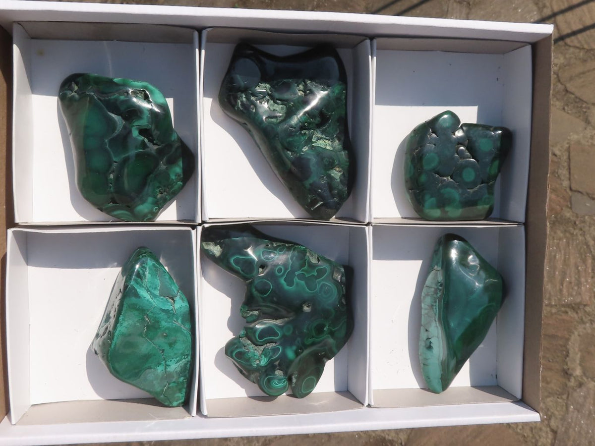 Polished Malachite Free Forms With Flower Patterns x 6 From Congo - TopRock