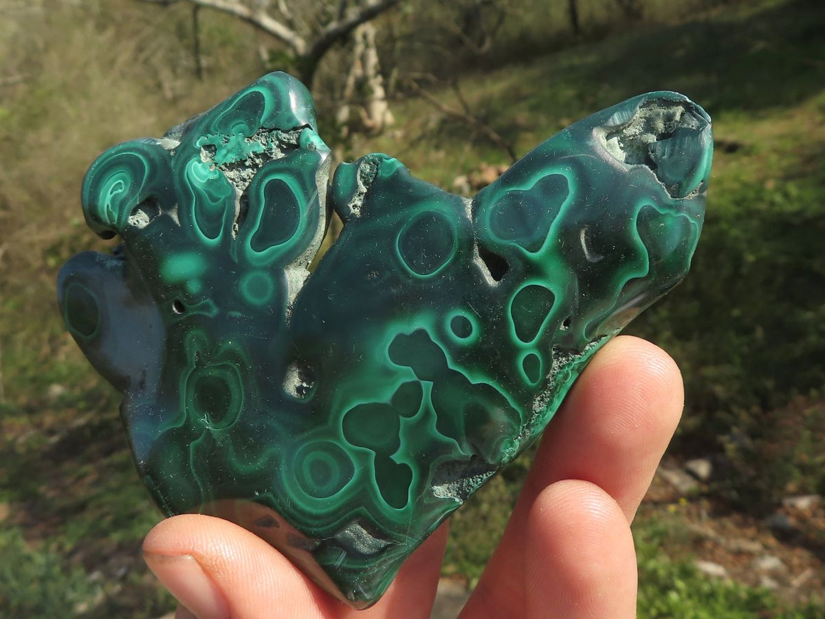 Polished Malachite Free Forms With Flower Patterns x 6 From Congo - TopRock