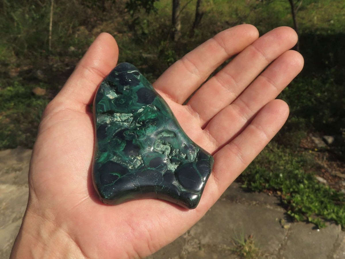 Polished Malachite Free Forms With Flower Patterns x 6 From Congo - TopRock