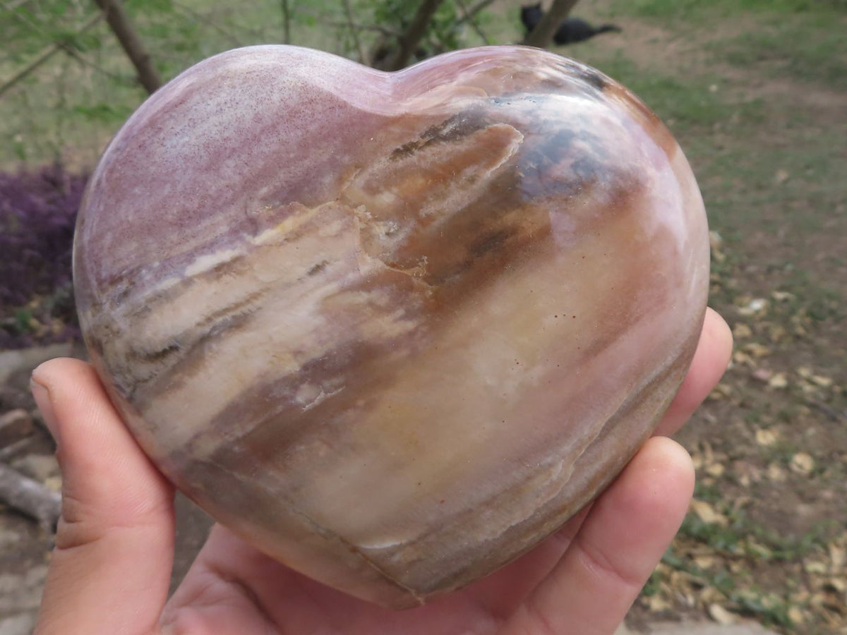 Polished Petrified Red Podocarpus Wood Hearts x 2 From Mahajanga, Madagascar - TopRock