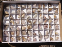 Natural Mixed Spirit Quartz Crystals x 70 From Boekenhouthoek, South Africa - Toprock Gemstones and Minerals