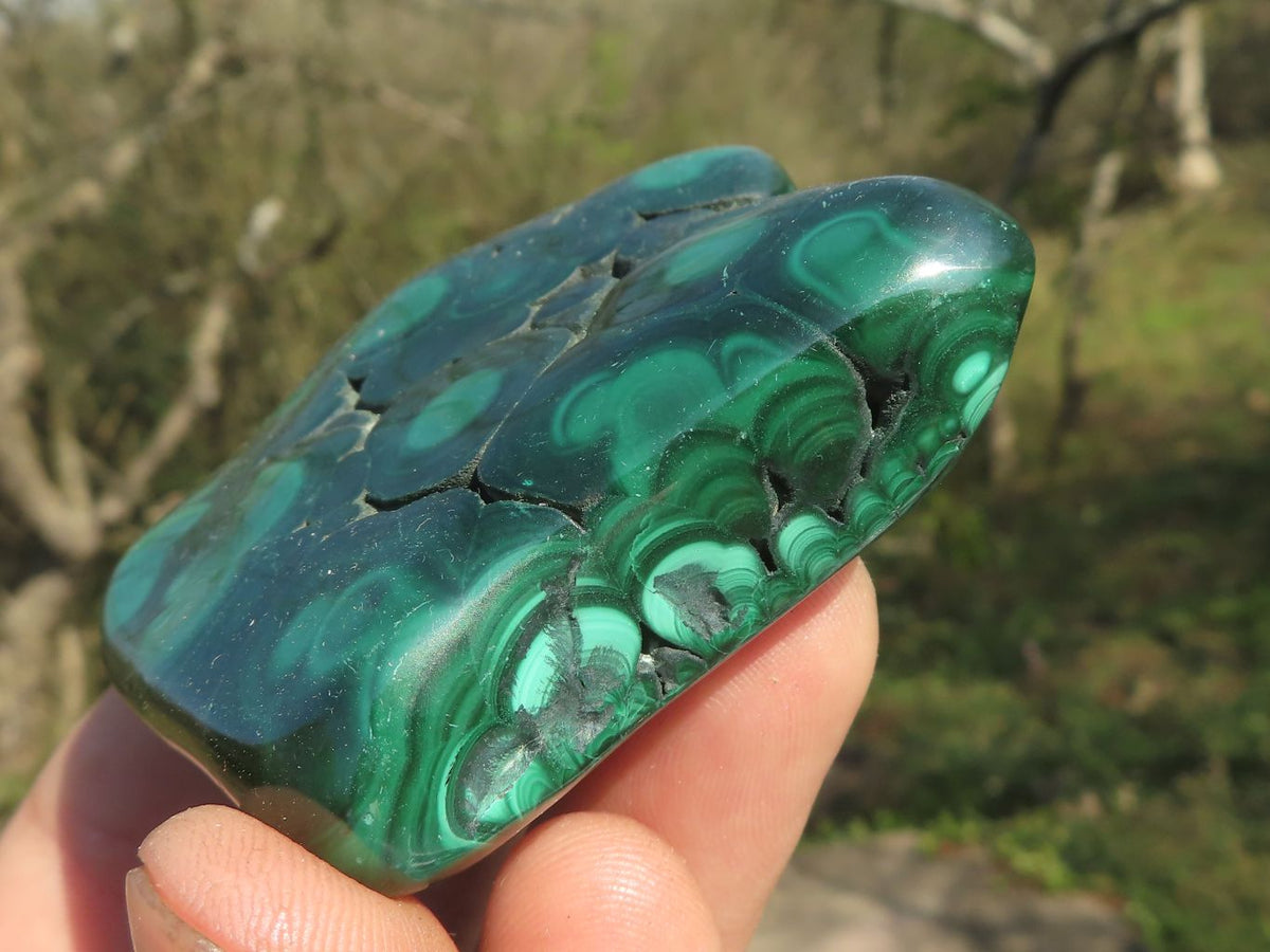Polished Malachite Free Forms With Flower Patterns x 6 From Congo - TopRock