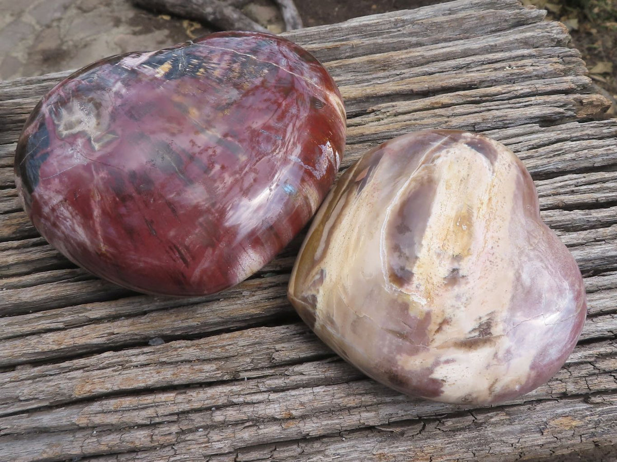 Polished Petrified Red Podocarpus Wood Hearts x 2 From Mahajanga, Madagascar - TopRock