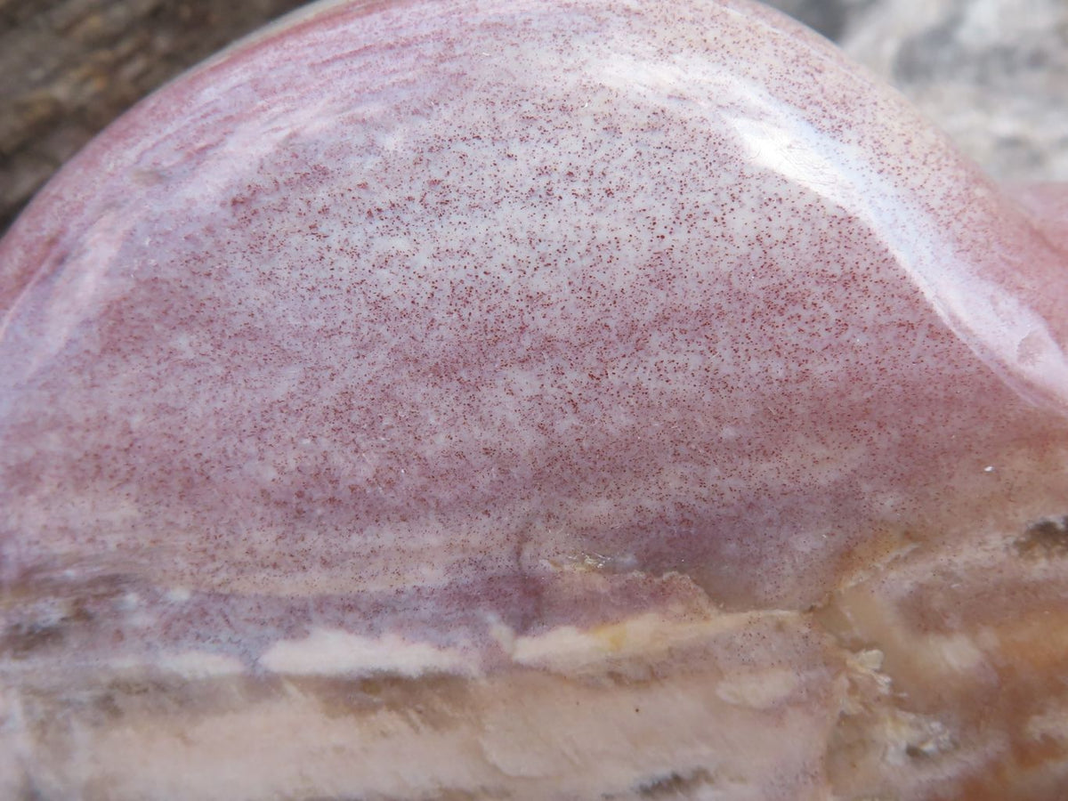 Polished Petrified Red Podocarpus Wood Hearts x 2 From Mahajanga, Madagascar - TopRock