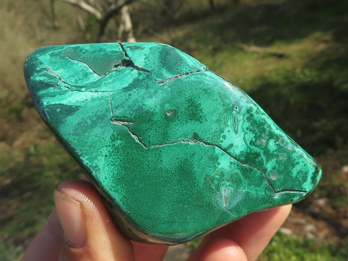 Polished Malachite Free Forms With Flower Patterns x 6 From Congo - TopRock
