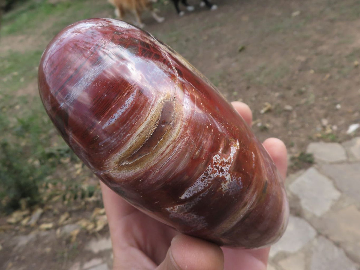Polished Petrified Red Podocarpus Wood Hearts x 2 From Mahajanga, Madagascar - TopRock