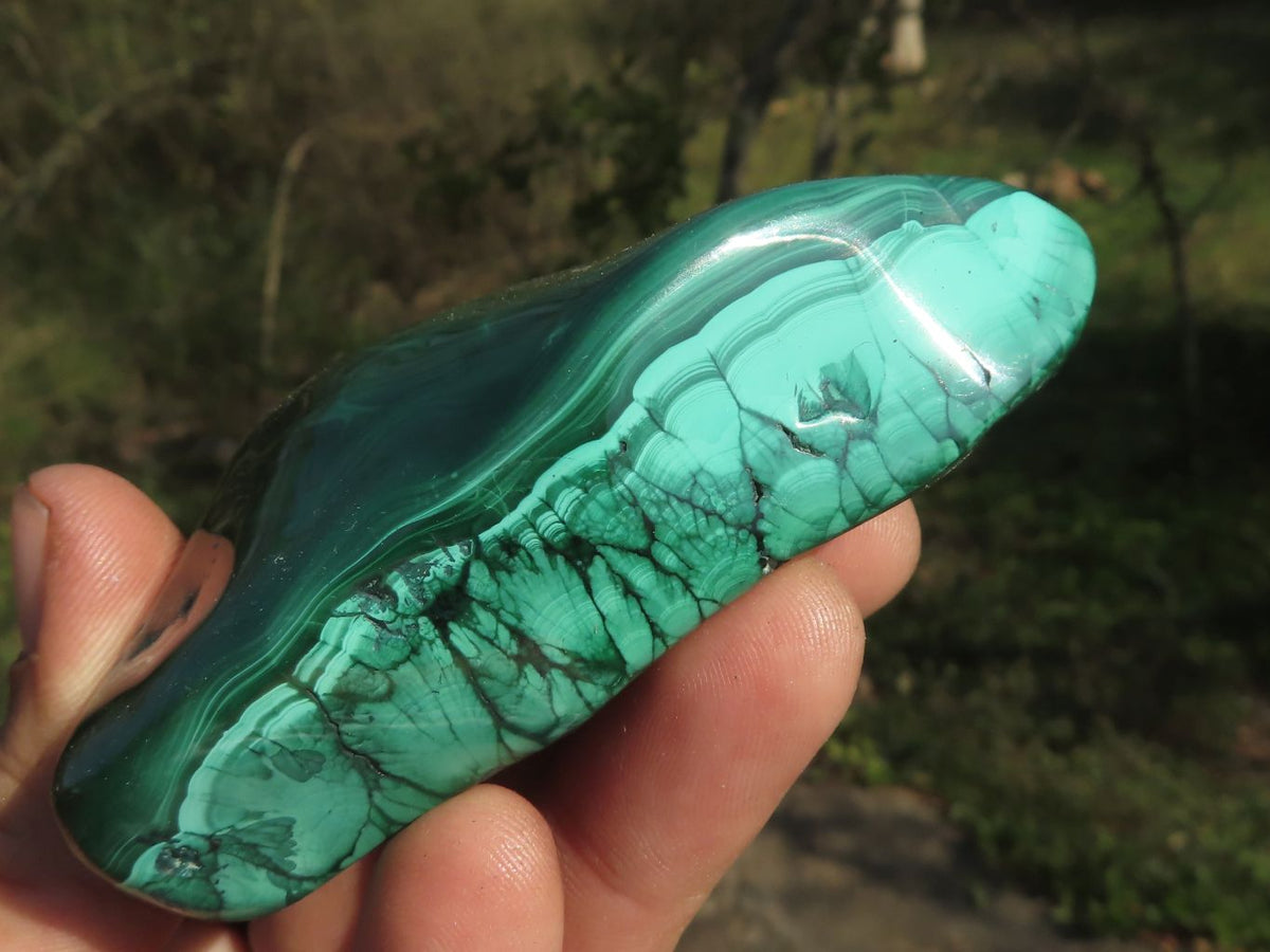 Polished Malachite Free Forms With Flower Patterns x 6 From Congo - TopRock