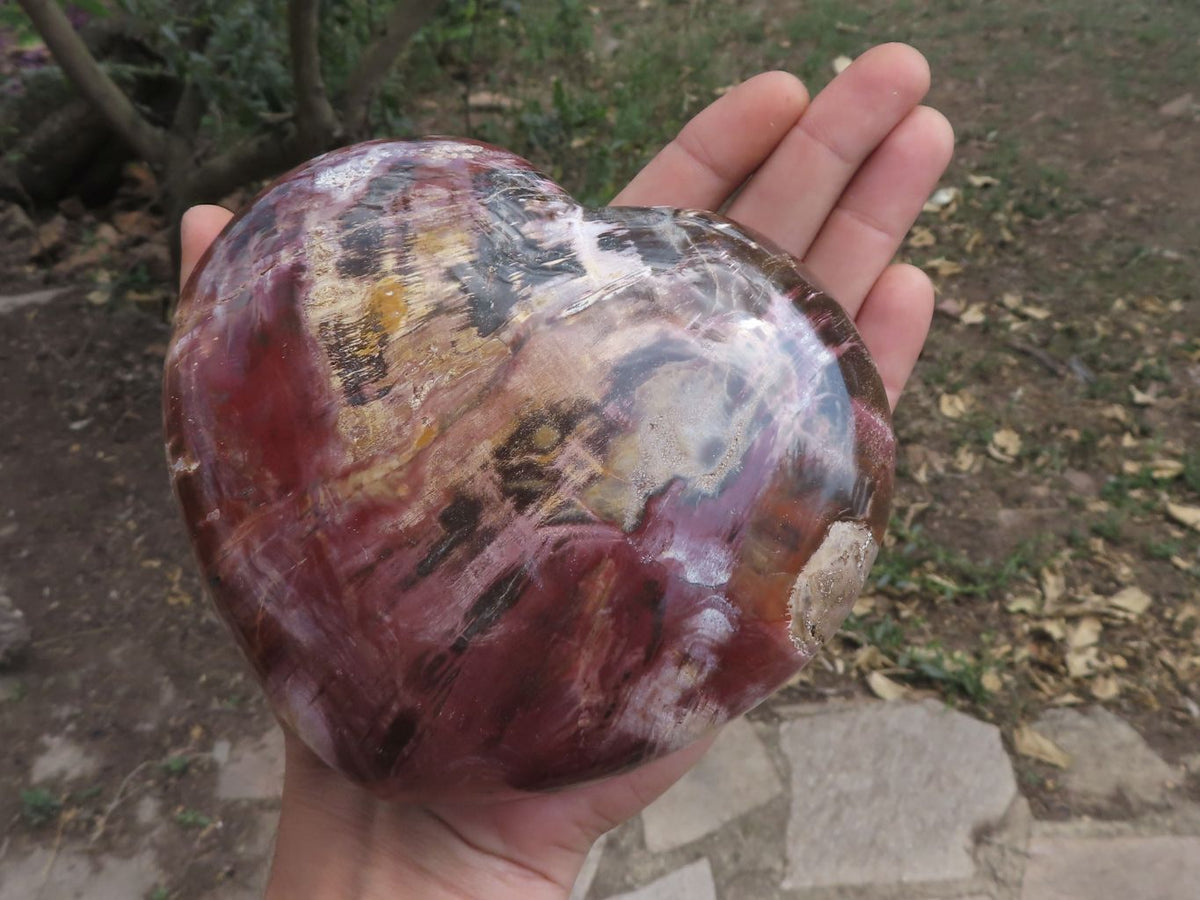 Polished Petrified Red Podocarpus Wood Hearts x 2 From Mahajanga, Madagascar - TopRock