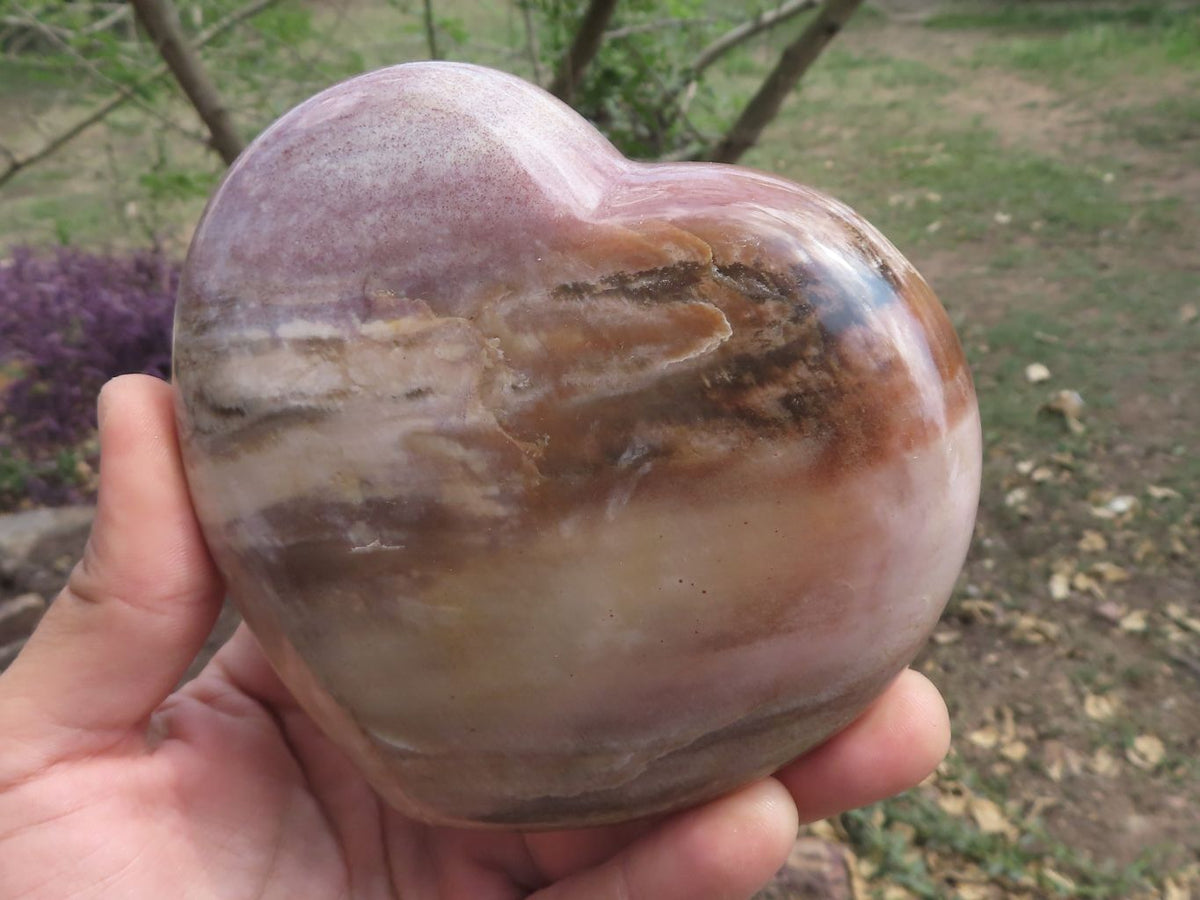 Polished Petrified Red Podocarpus Wood Hearts x 2 From Mahajanga, Madagascar - TopRock