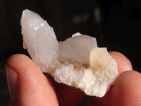 Natural Mixed Spirit Quartz Crystals x 70 From Boekenhouthoek, South Africa - Toprock Gemstones and Minerals