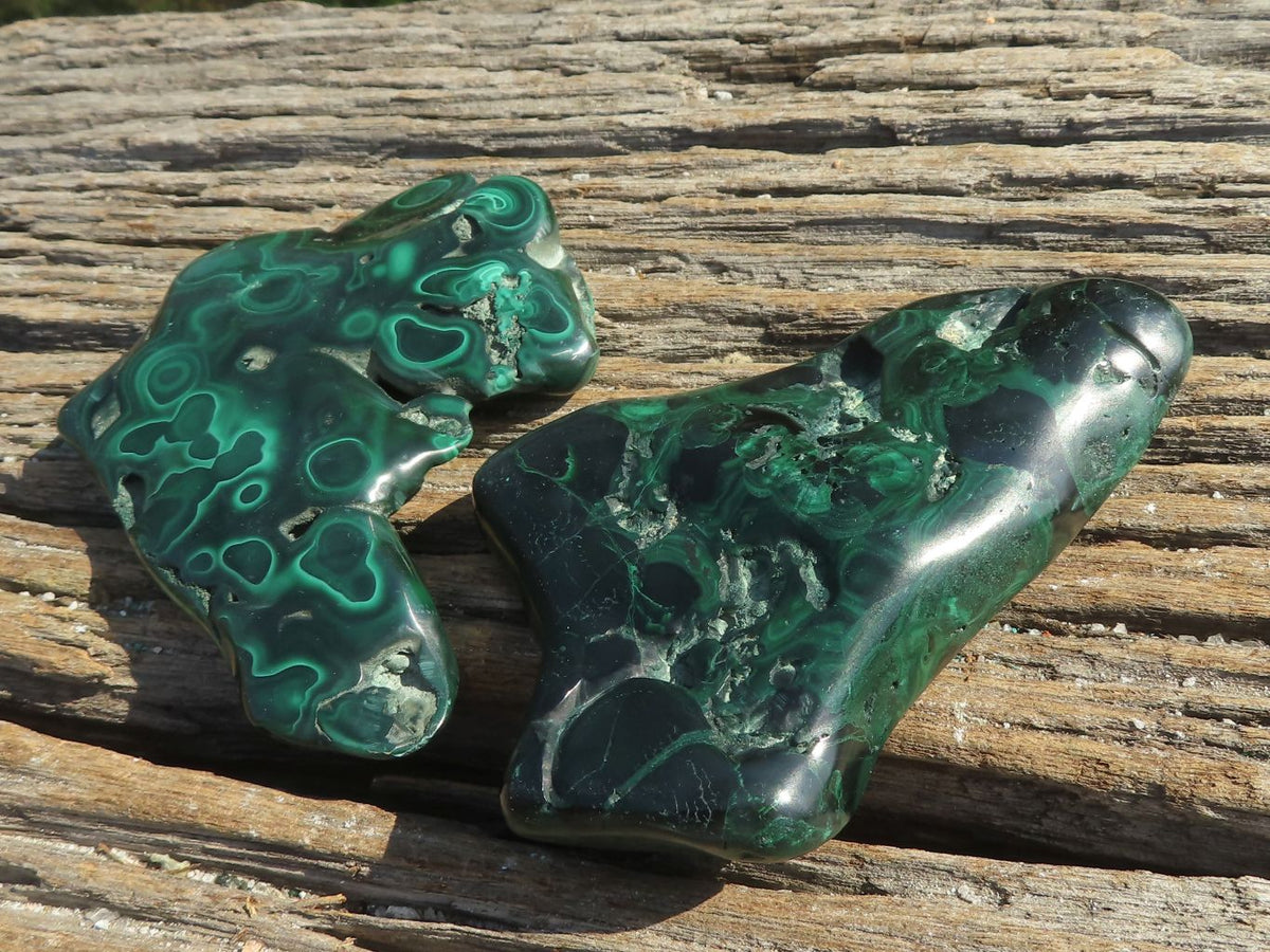 Polished Malachite Free Forms With Flower Patterns x 6 From Congo - TopRock