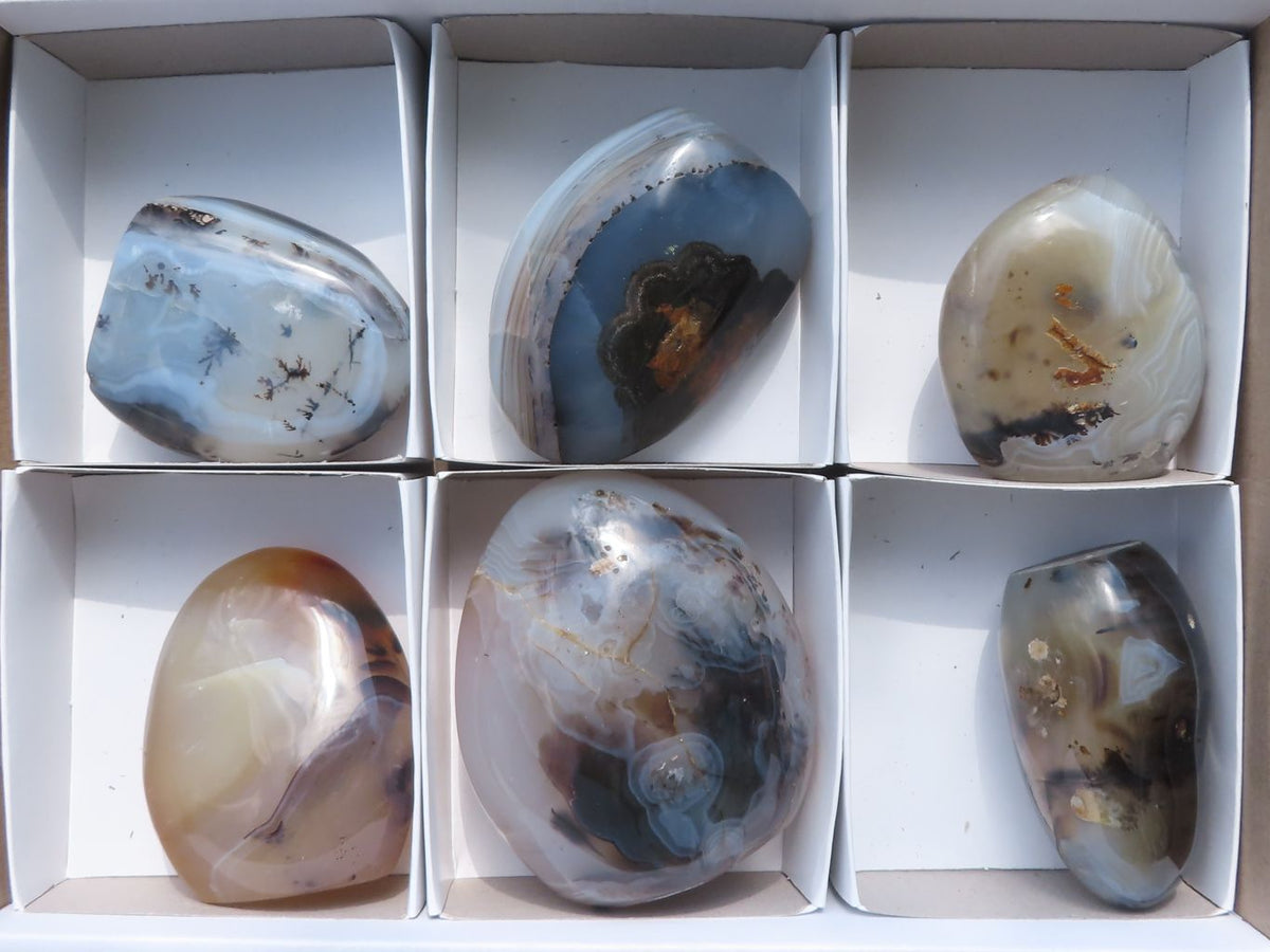 Polished Banded Dendritic Agate Standing Free Forms x 6 From Moralambo, Madagascar - TopRock