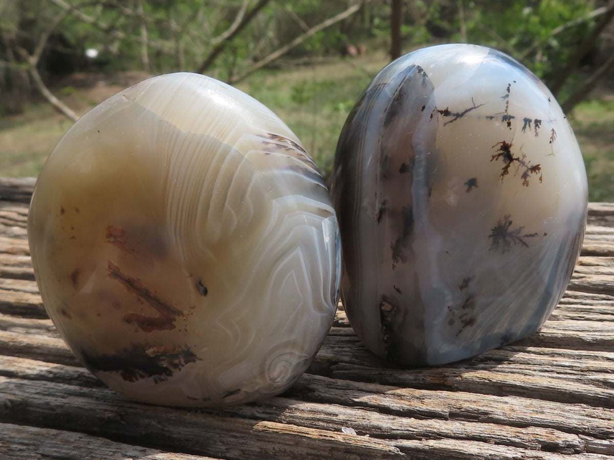 Polished Banded Dendritic Agate Standing Free Forms x 6 From Moralambo, Madagascar - TopRock