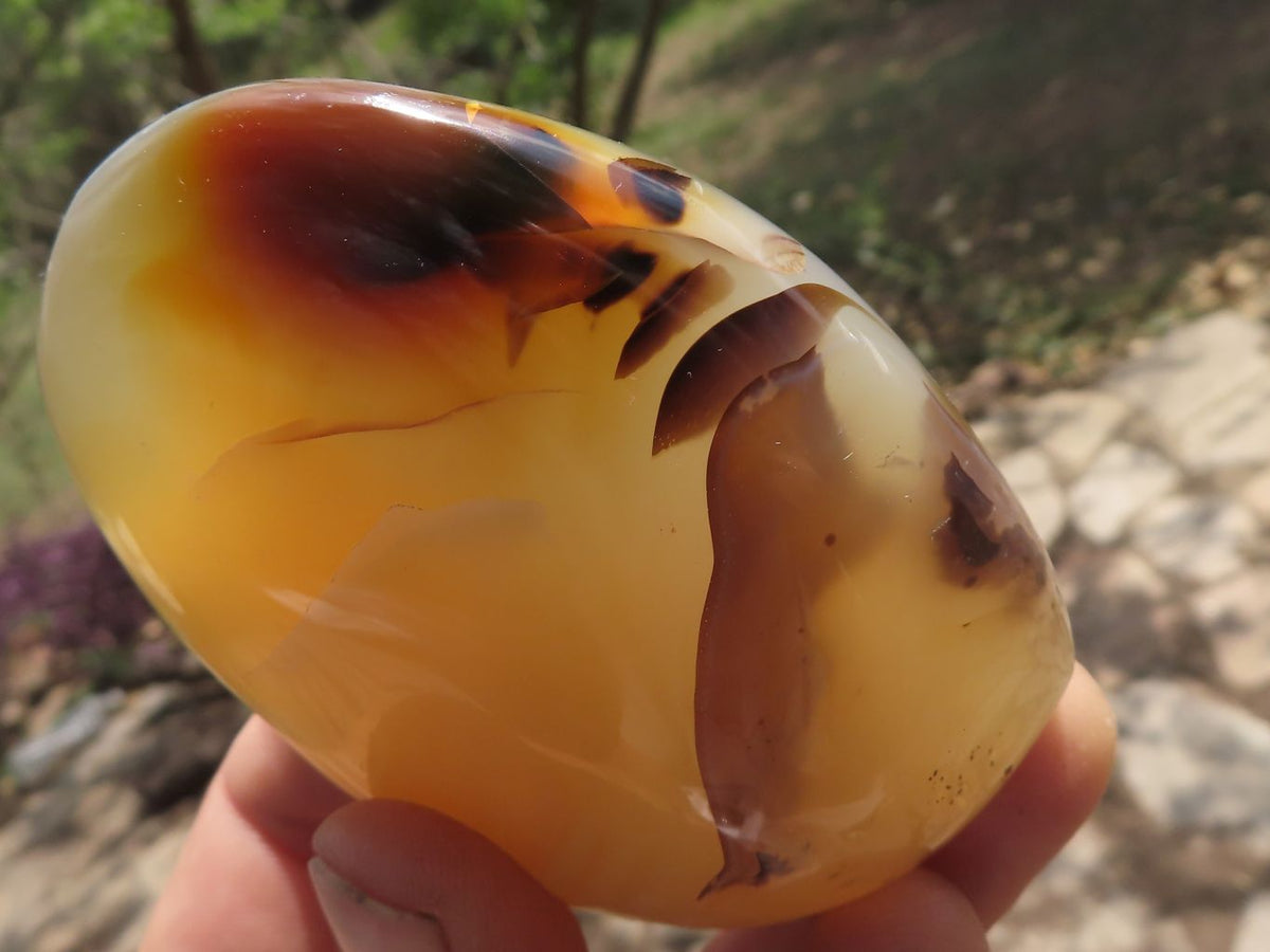 Polished Banded Dendritic Agate Standing Free Forms x 6 From Moralambo, Madagascar - TopRock