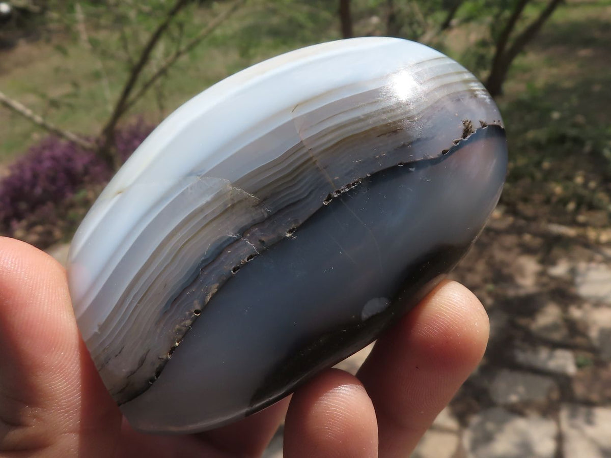 Polished Banded Dendritic Agate Standing Free Forms x 6 From Moralambo, Madagascar - TopRock