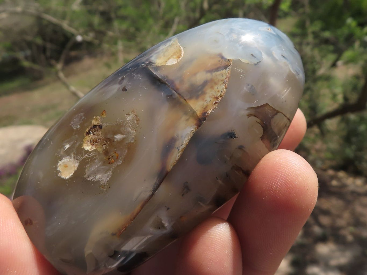 Polished Banded Dendritic Agate Standing Free Forms x 6 From Moralambo, Madagascar - TopRock