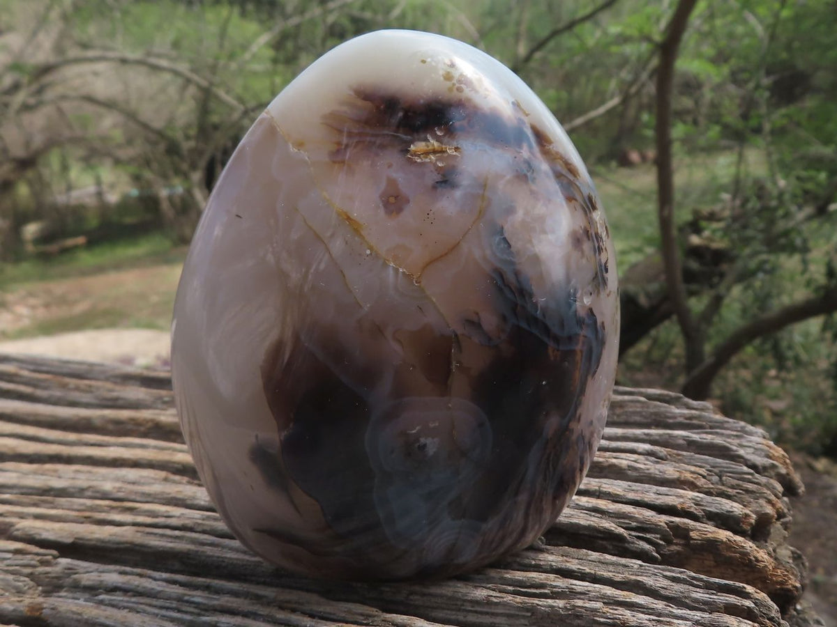 Polished Banded Dendritic Agate Standing Free Forms x 6 From Moralambo, Madagascar - TopRock