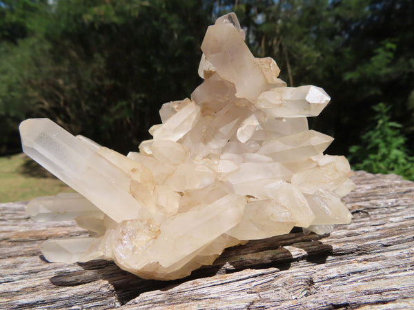 Natural Quartz Clusters With Nice Long Crystals x 13 From Madagascar - TopRock