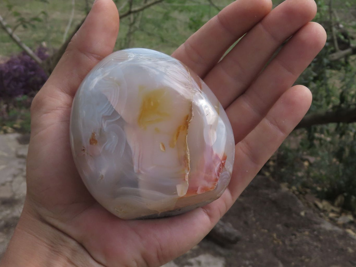 Polished Banded Dendritic Agate Standing Free Forms x 6 From Moralambo, Madagascar - TopRock