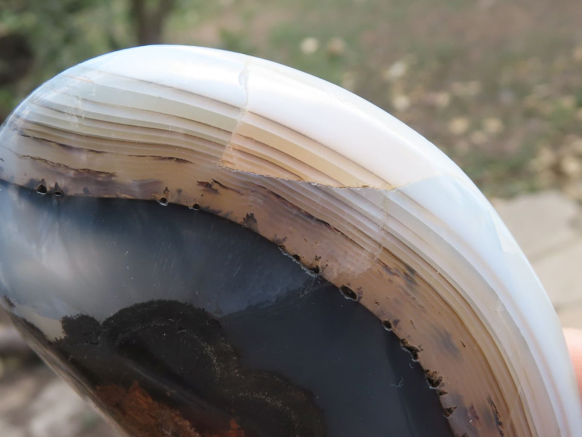 Polished Banded Dendritic Agate Standing Free Forms x 6 From Moralambo, Madagascar - TopRock