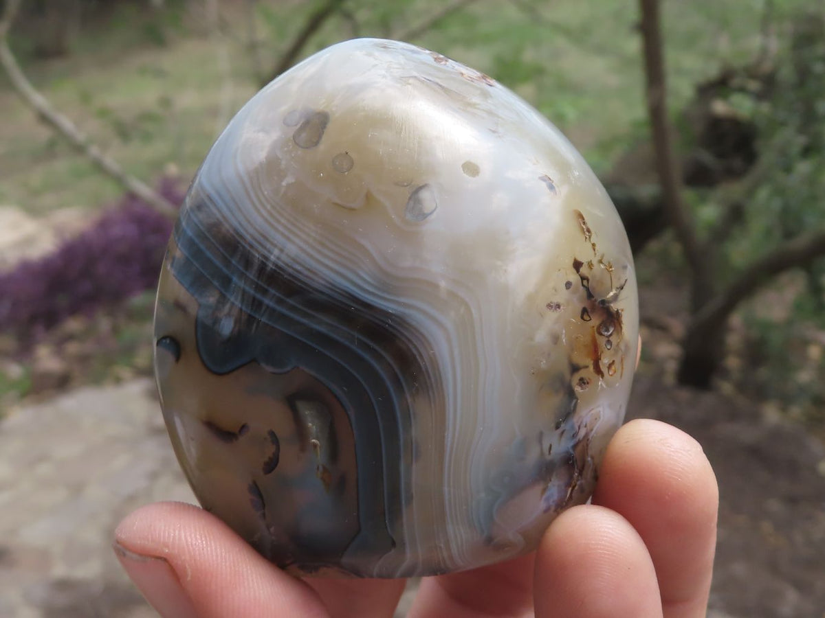 Polished Banded Dendritic Agate Standing Free Forms x 6 From Moralambo, Madagascar - TopRock
