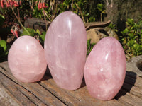Polished Gemmy Pink Rose Quartz Standing Free Forms x 3 From Madagascar - Toprock Gemstones and Minerals