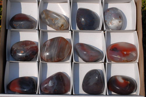 Polished Red Sashe River Agate Gallets x 12 From Zimbabwe - TopRock