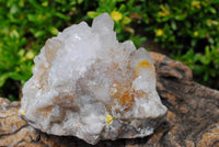 Natural Spirit Quartz Clusters x 4 From South Africa - TopRock