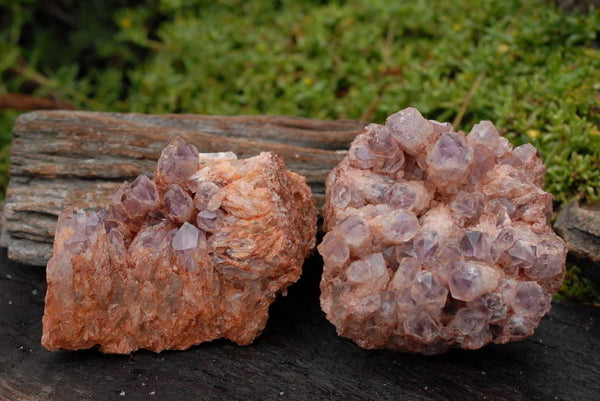 Natural Sugar Amethyst Clusters x 2 From Zambia - TopRock