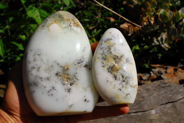 Polished Dendritic White Opal Standing Free Forms x 2 From Madagascar - TopRock