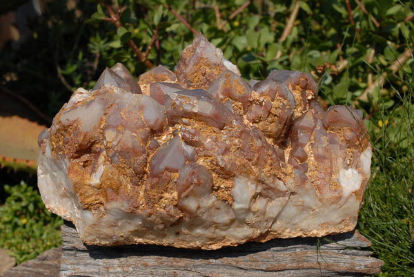 Natural Hematite Phantom Quartz Large Cluster x 1 From Karoi, Zimbabwe - TopRock