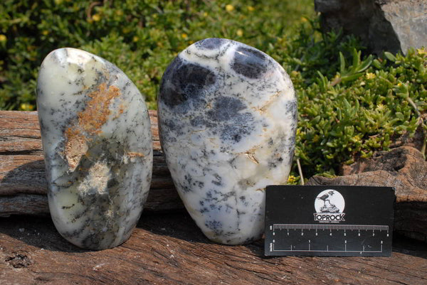 Polished Dendritic Yellow White Opal Standing Free Forms x 2 From Madagascar - TopRock