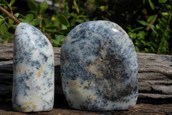 Polished White Dendritic Opal Standing Free Forms x 6 From Ambositra, Madagascar - TopRock