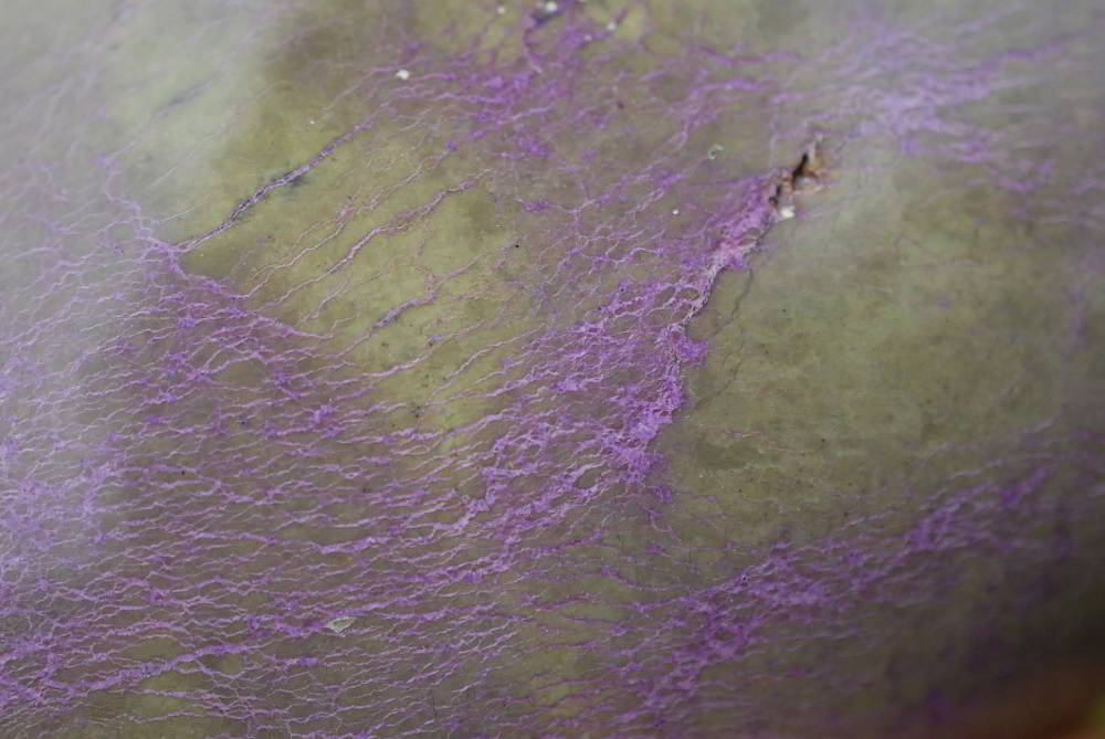 Natural Rare Stichtite & Green Serpentine Standing Free Forms x 2 From Barberton, South Africa - TopRock