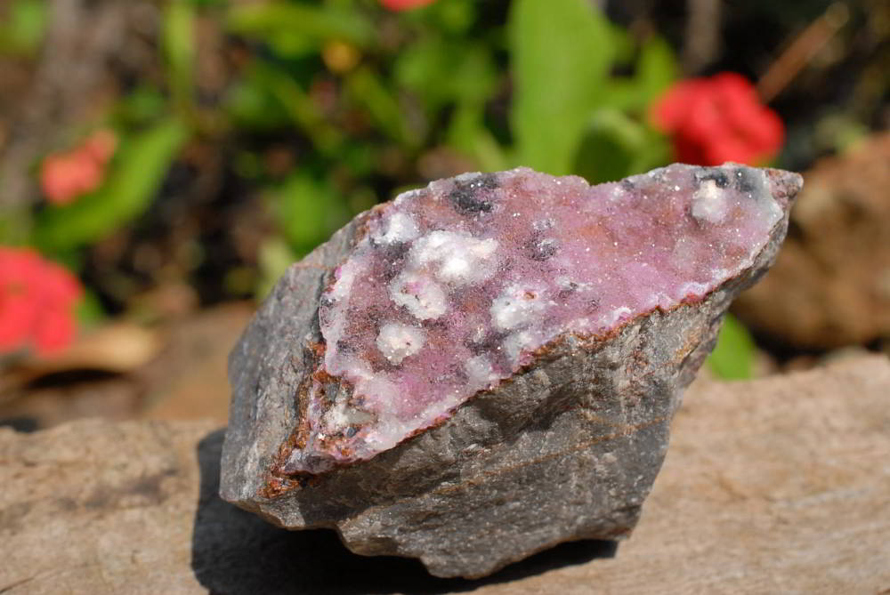Natural Drusy Coated Salrose Cobaltion Dolomite Specimens x 12 From Kakanda, Congo - TopRock