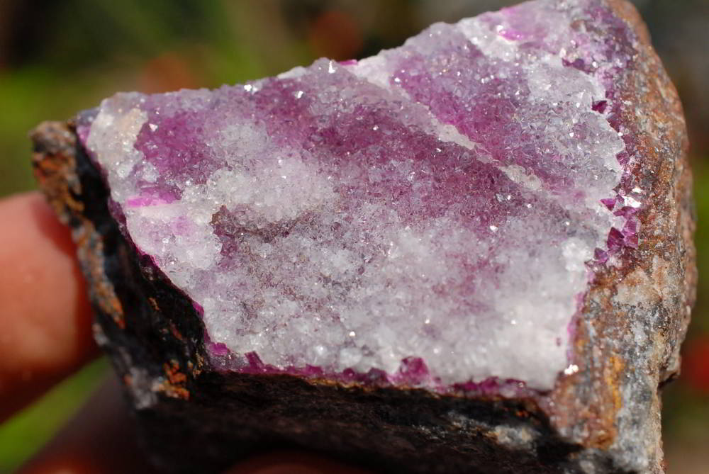 Natural Drusy Coated Salrose Cobaltion Dolomite Specimens x 12 From Kakanda, Congo - TopRock