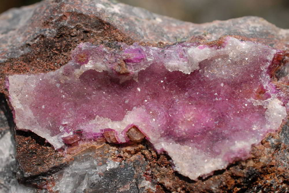Natural Drusy Coated Salrose Cobaltion Dolomite Specimens x 12 From Kakanda, Congo - TopRock