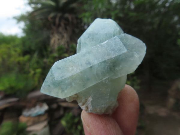 Natural Chlorite Quartz Crystals x 1Kg Bags From Zimbabwe - TopRock