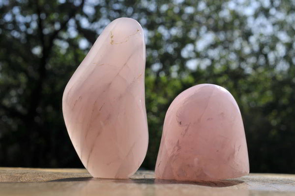 Polished Mini Rose Quartz Standing Free Forms x 12 From Madagascar - TopRock