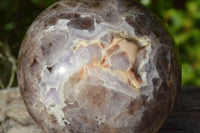 Polished Classic Dream Amethyst Sphere x 1 From Madagascar - TopRock