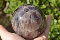 Polished Classic Dream Amethyst Sphere x 1 From Madagascar - TopRock