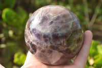 Polished Classic Dream Amethyst Sphere x 1 From Madagascar - TopRock