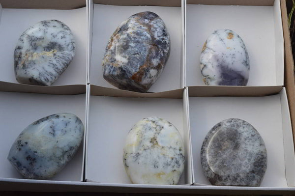 Polished White Dendritic Opal Standing Free Forms x 6 From Madagascar - TopRock