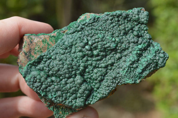 Natural Botryoidal Malachite on Matrix Specimens x 6 From Tenke Fungurume, Congo - TopRock
