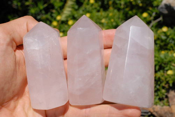 Polished Gemmy Rose Quartz Crystal Points  x 12 From Ambatondrazaka , Madagascar - TopRock
