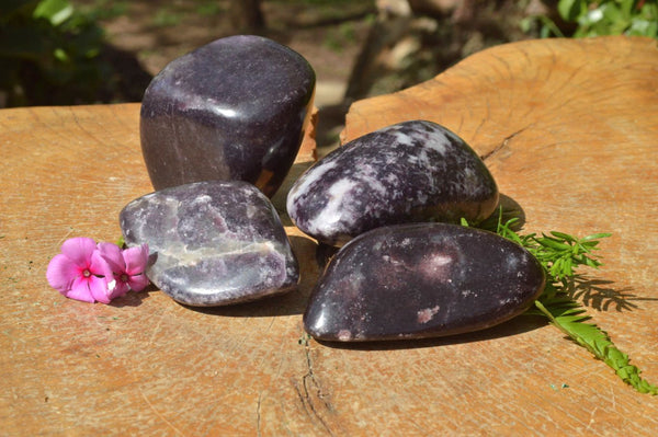 Polished Large Dark Reddish Purple Lepidolite Free Forms x 4 From Zimbabwe - TopRock